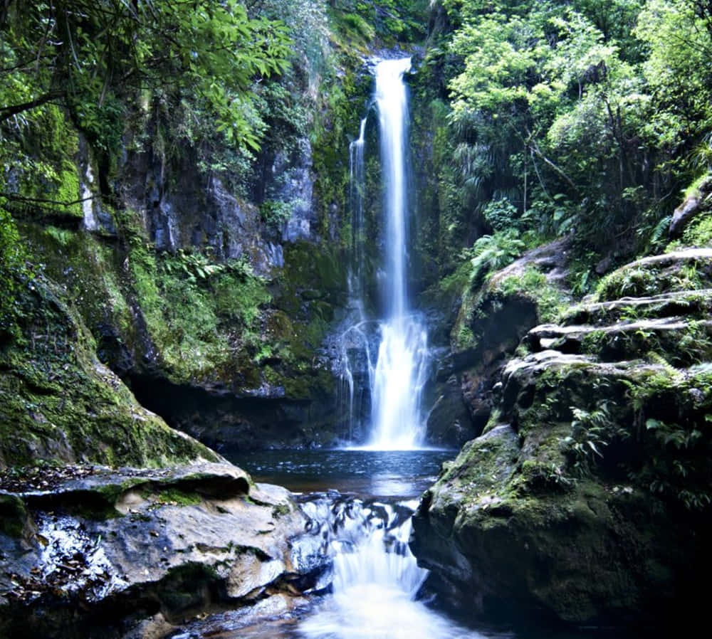 Serene Waterfallin Lush Green Forest Tauranga Wallpaper