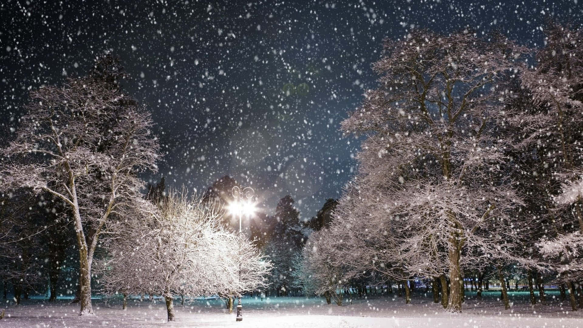 "serene Winter Wonderland"