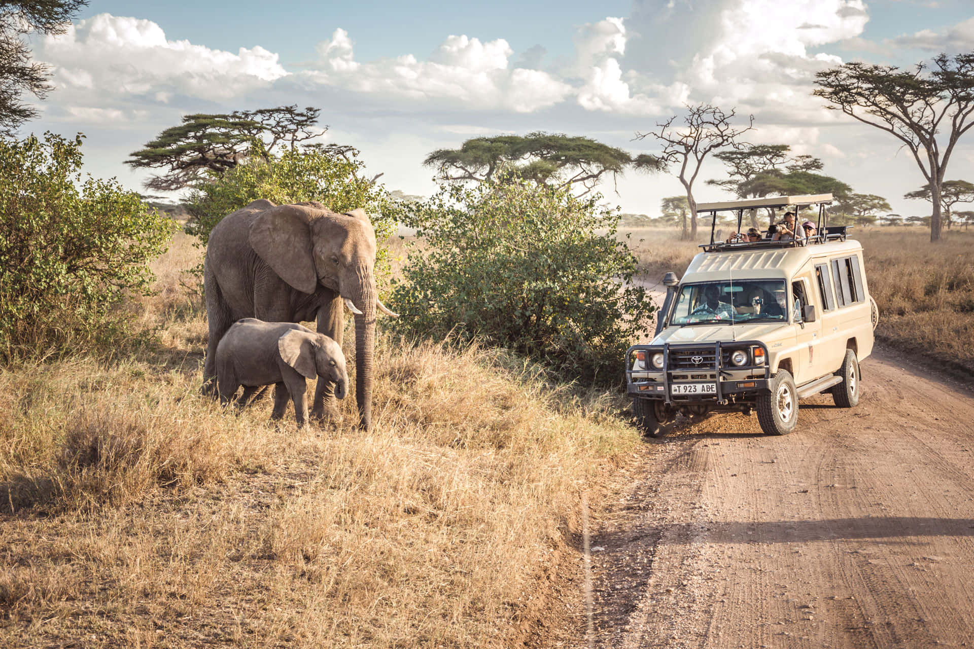 Safari-bil tæt på elefanter i Serengeti Nationalpark Wallpaper