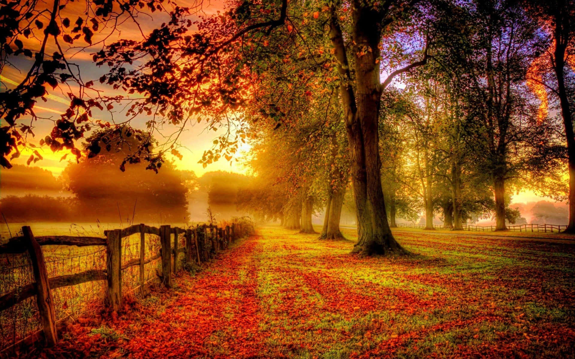 Serenity At Dusk - A Captivating Fall Sunset Wallpaper