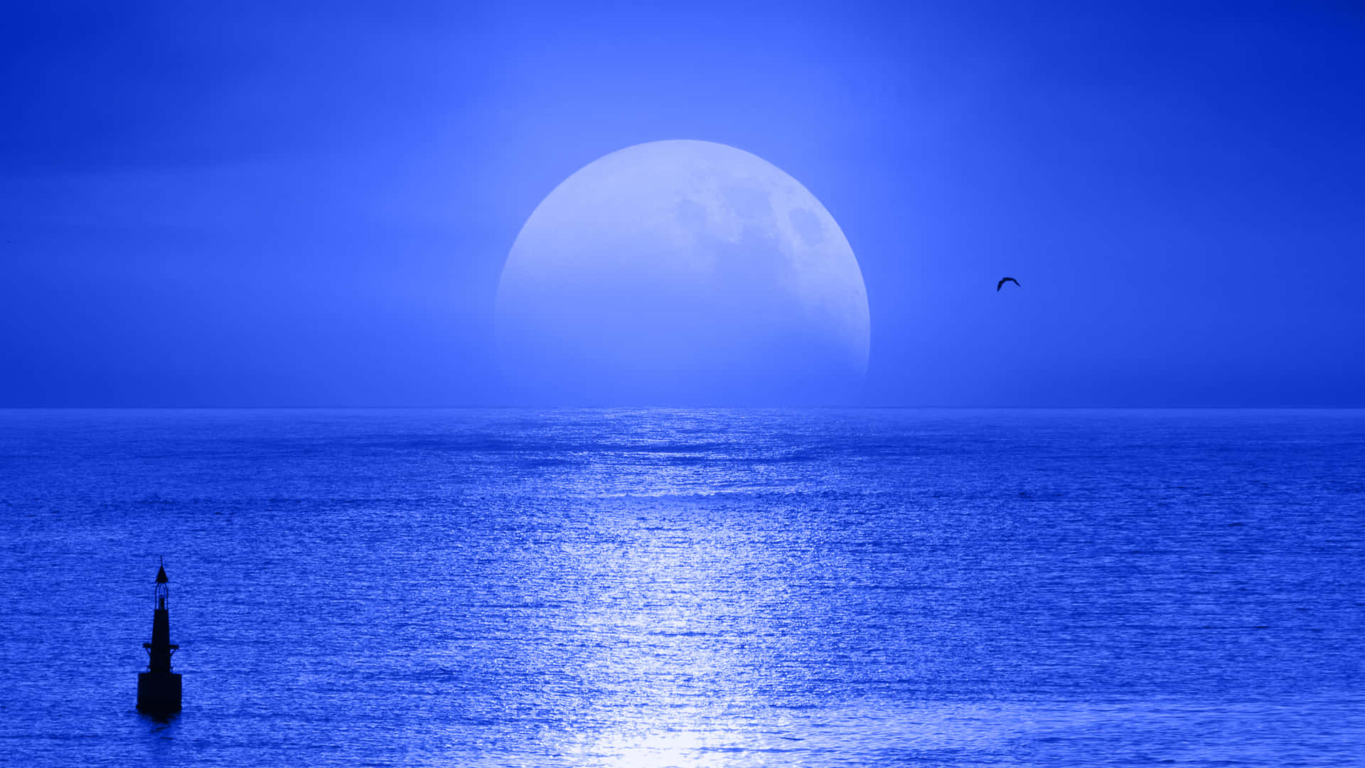 Serenity Blue Moonrise Over Ocean.jpg Wallpaper