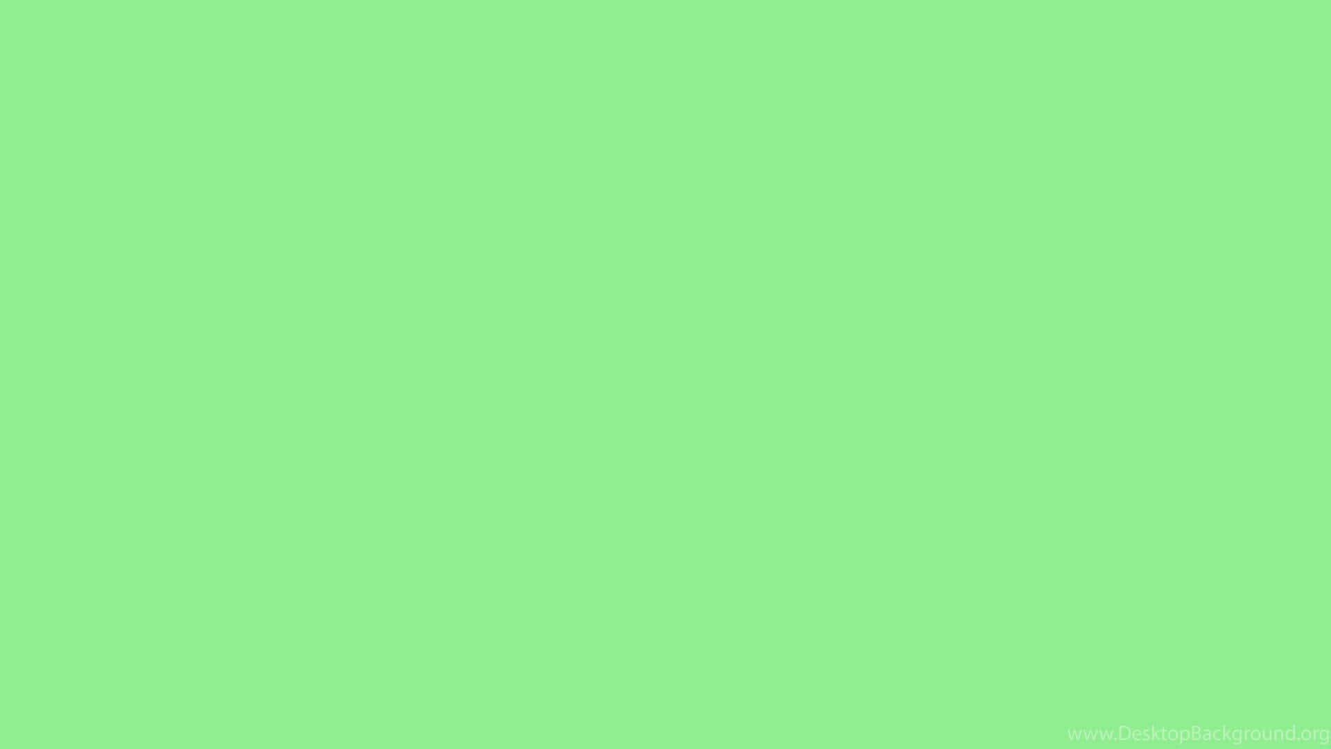 Serenity In Simplicity: A Plain Green Background