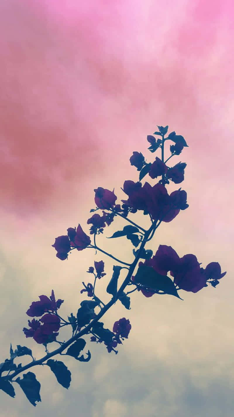Serenityin Bloom Silhouette Wallpaper