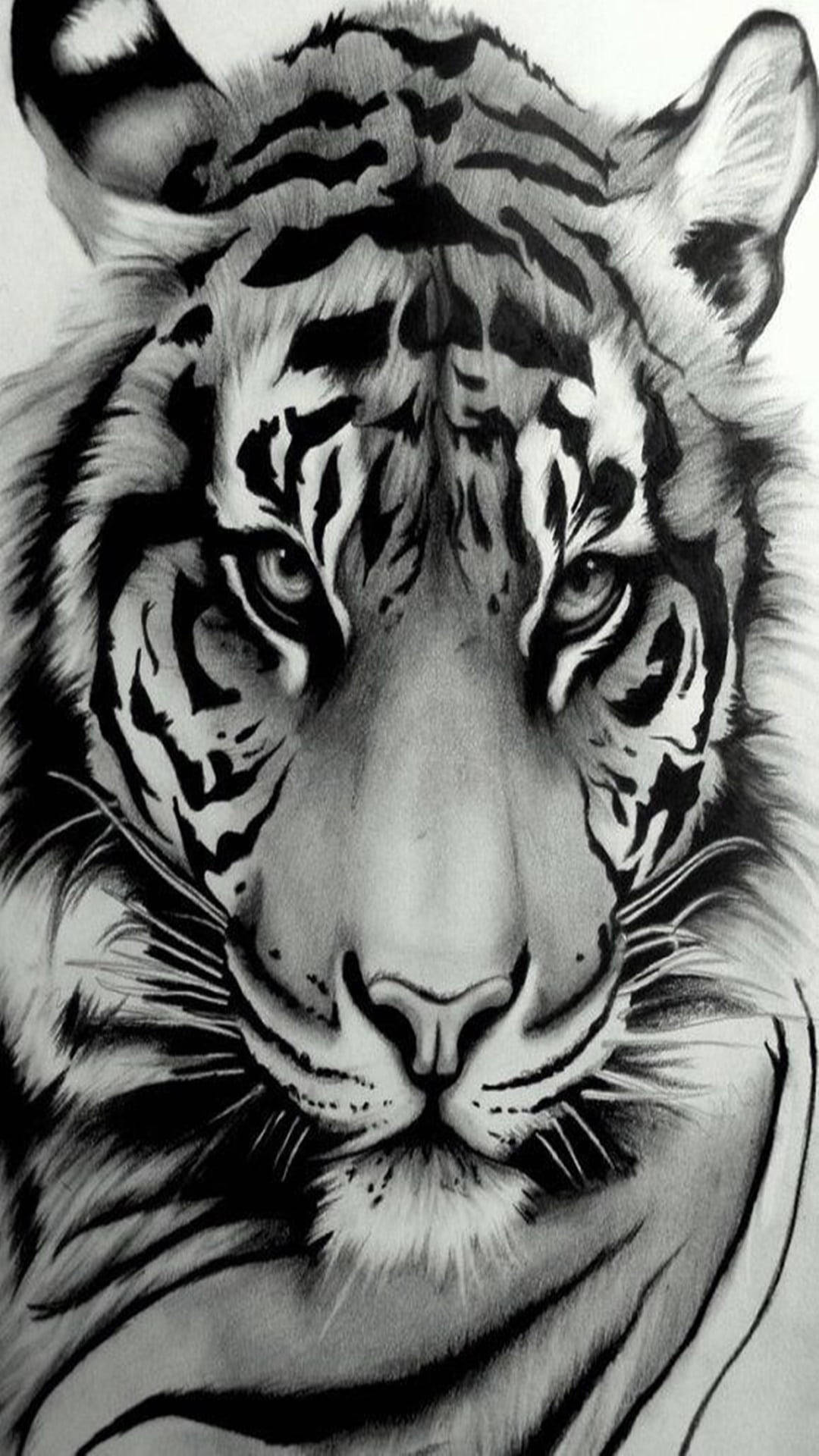 Seriøst Udseende Sort Tiger Wallpaper