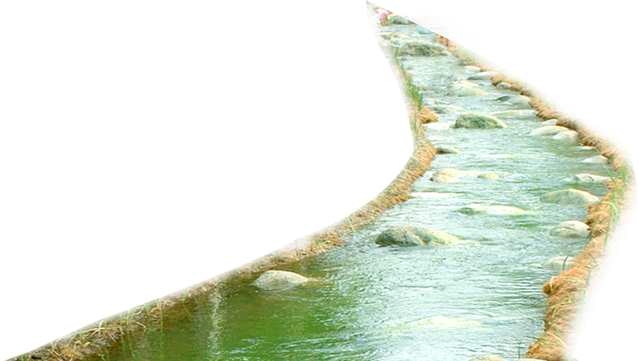 Serpentine Lake Edge PNG