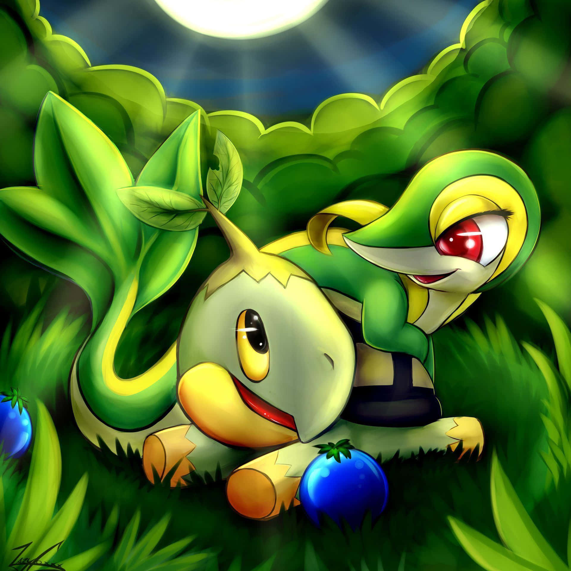 Serperior And Turtwig Wallpaper
