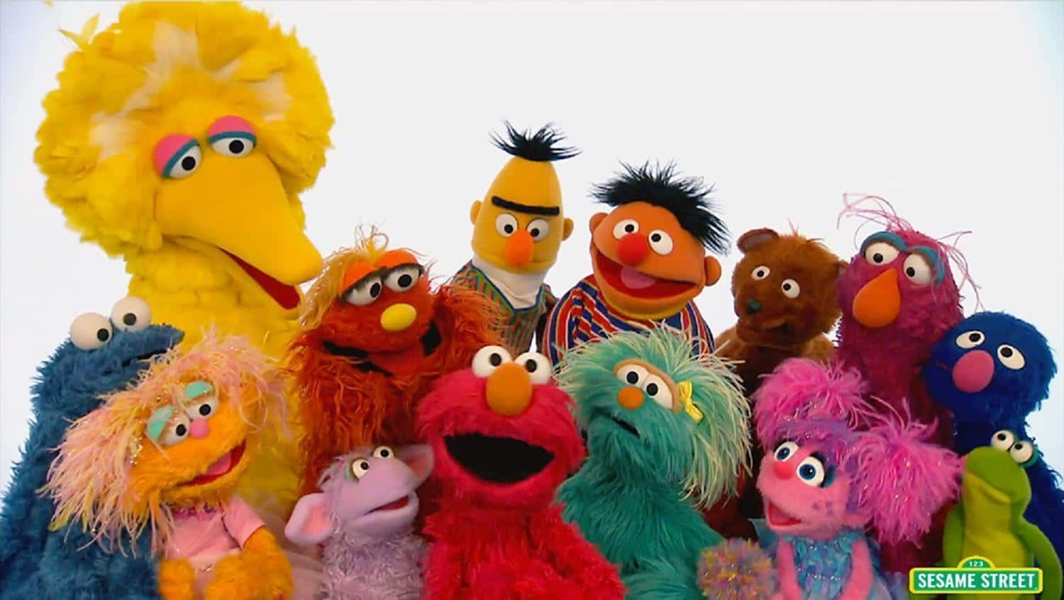 A vibrant view of Sesame Street