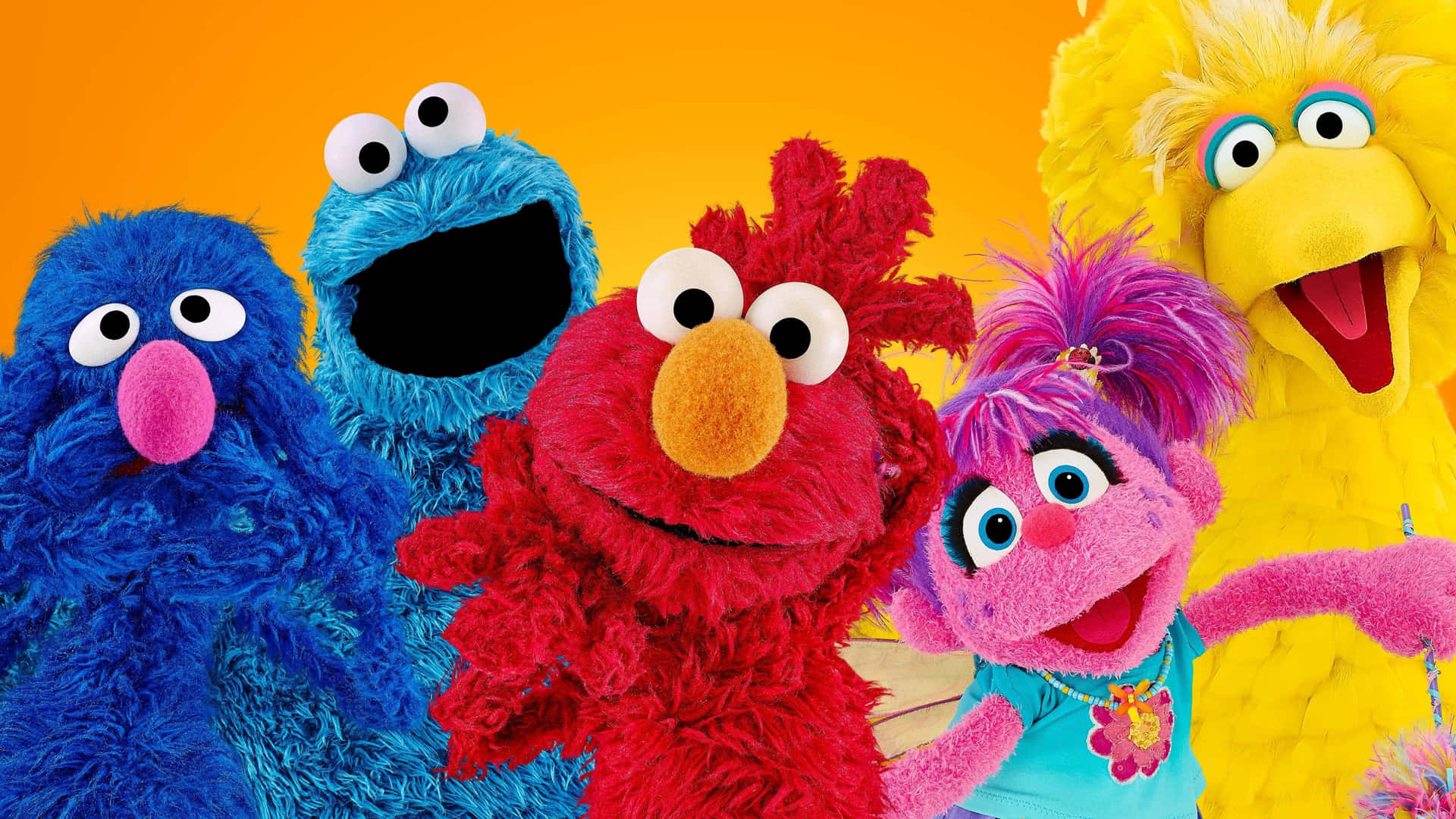 All your favorite Sesame Street characters come together in one spot!