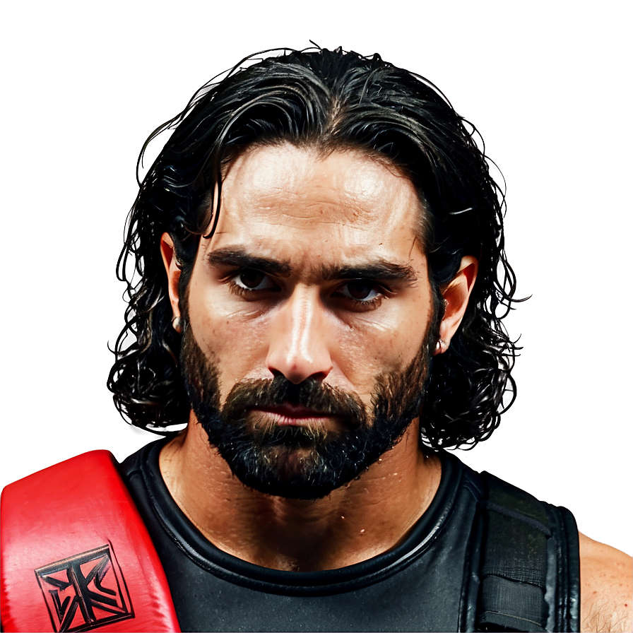 Download Seth Rollins Inspirational Quote Png Iid69 | Wallpapers.com