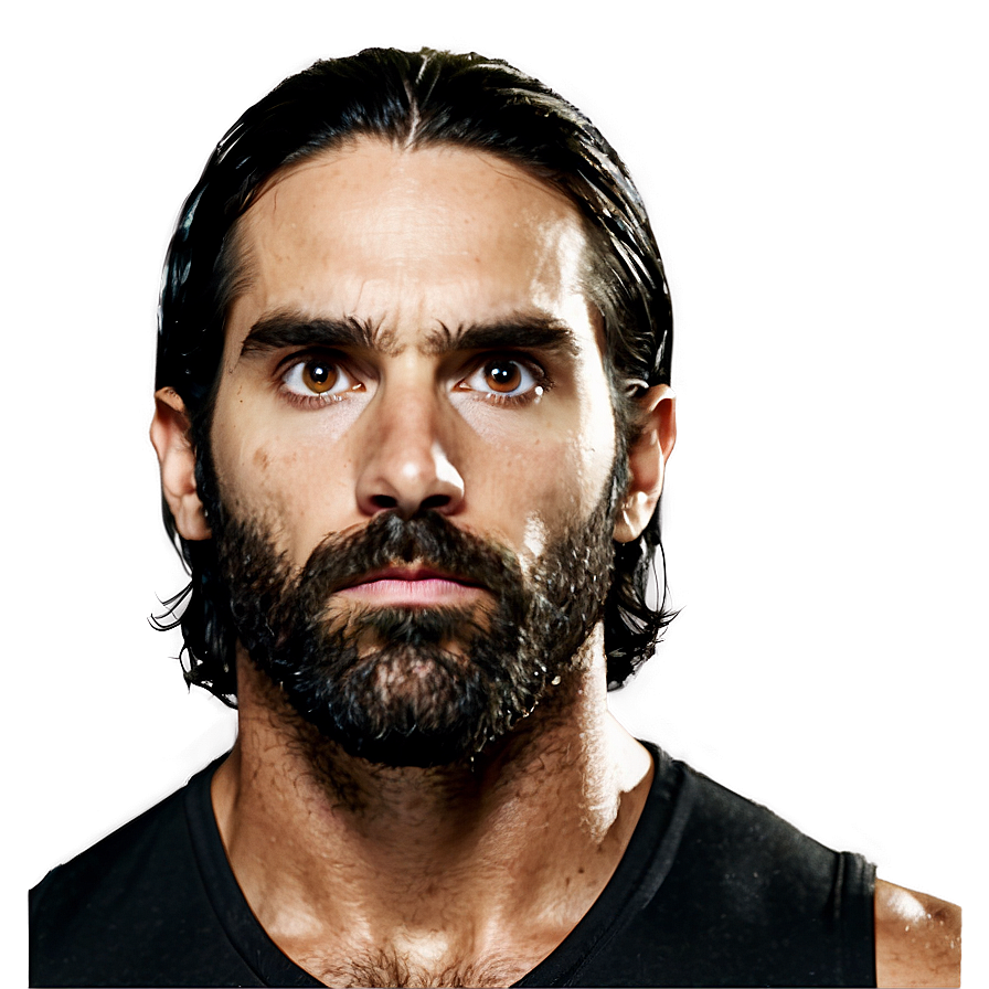 Seth Rollins Inspirational Quote Png Lyr PNG