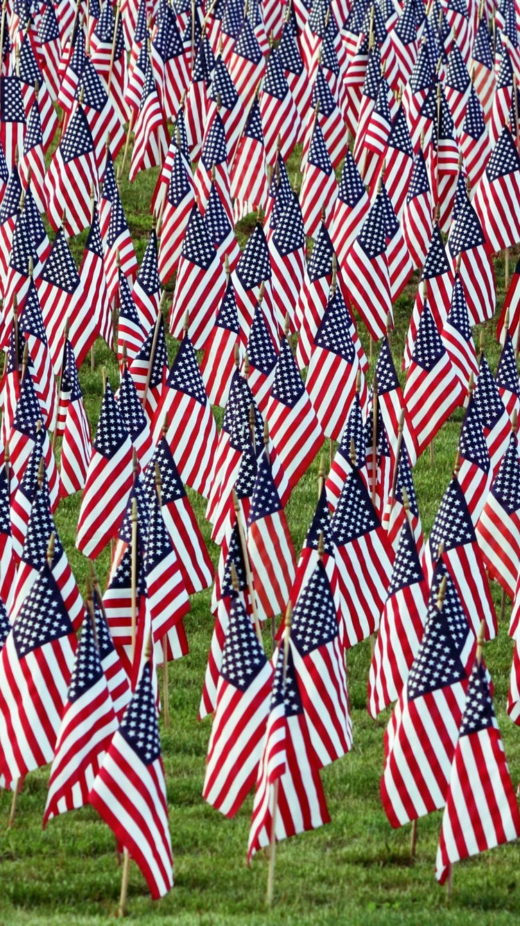 Several American Flag Cool Iphone Background Picture
