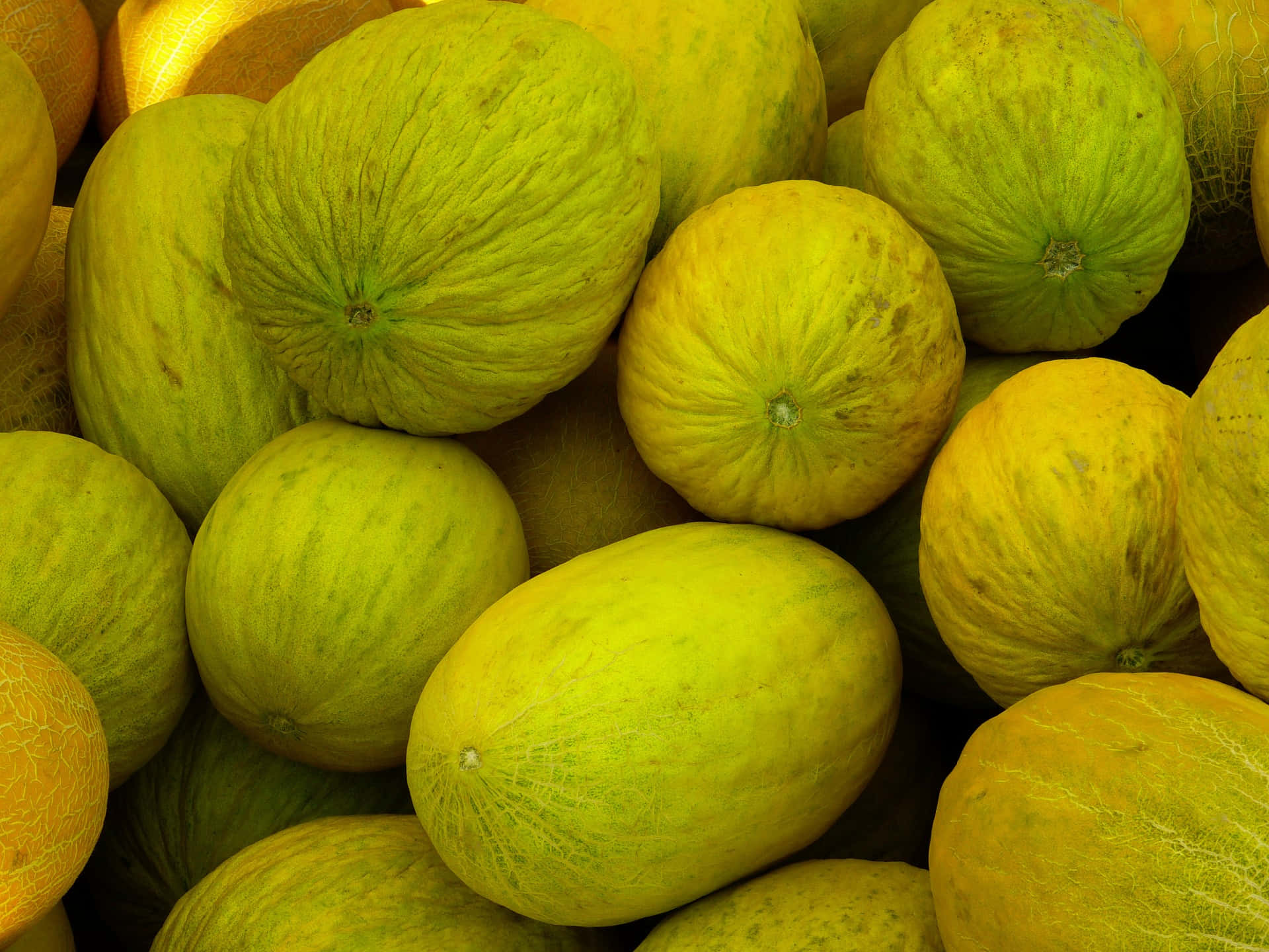 Mehreregestapelte Casaba-melonen-früchte Fotografie Wallpaper