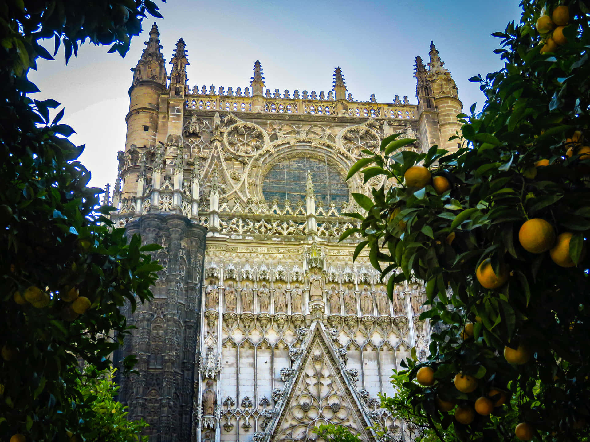 Seville Cathedral And Orange Trees Wallpaper