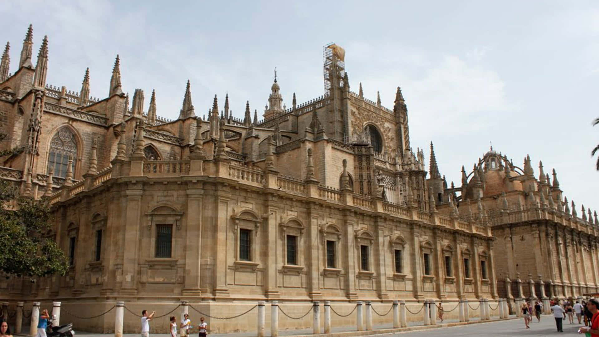Catedralde Sevilla Durante El Día Fondo de pantalla
