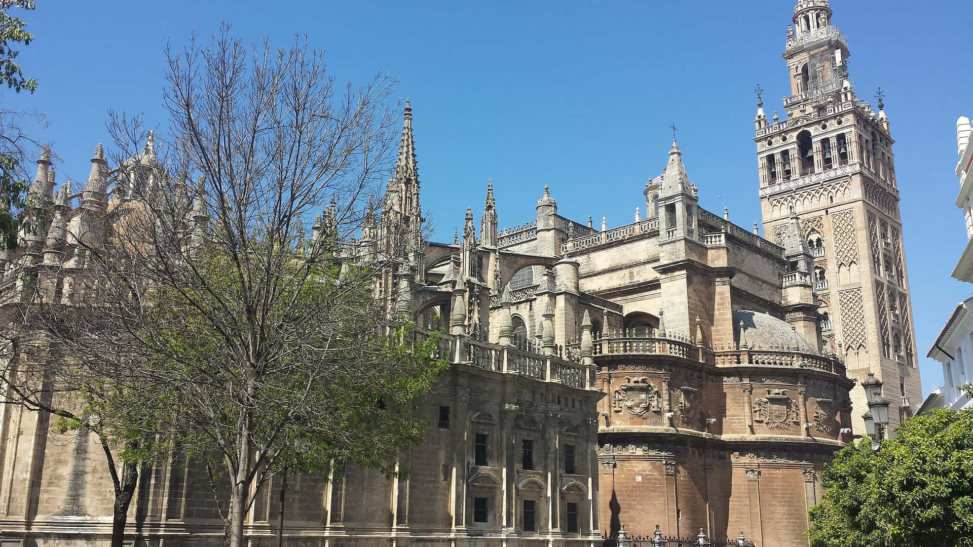 Seville-katedralen med La Giralda-tårnet ved siden af den Wallpaper