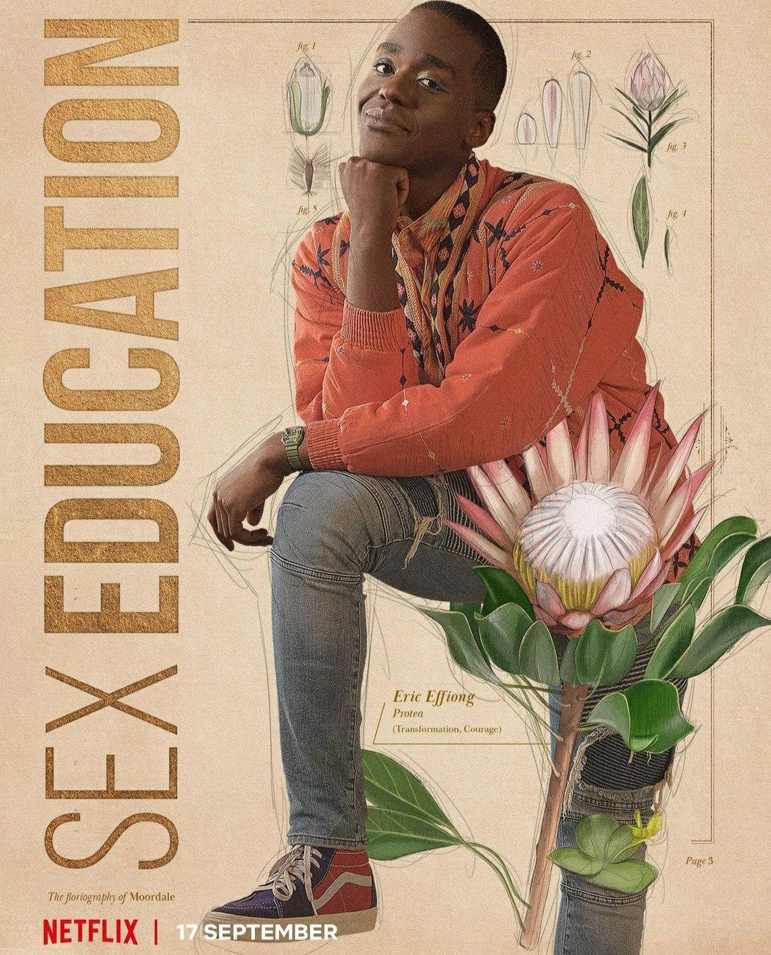 Sex Education Eric Effiong Wallpaper