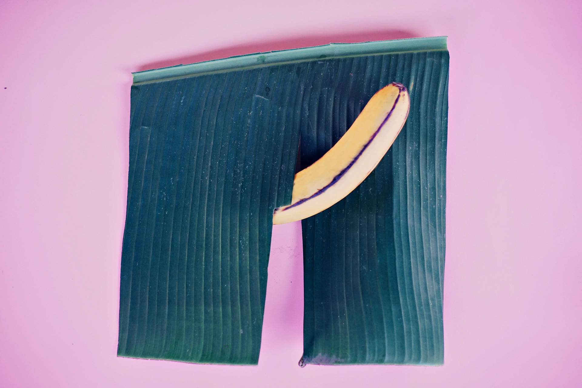 Sexual Banana Wallpaper