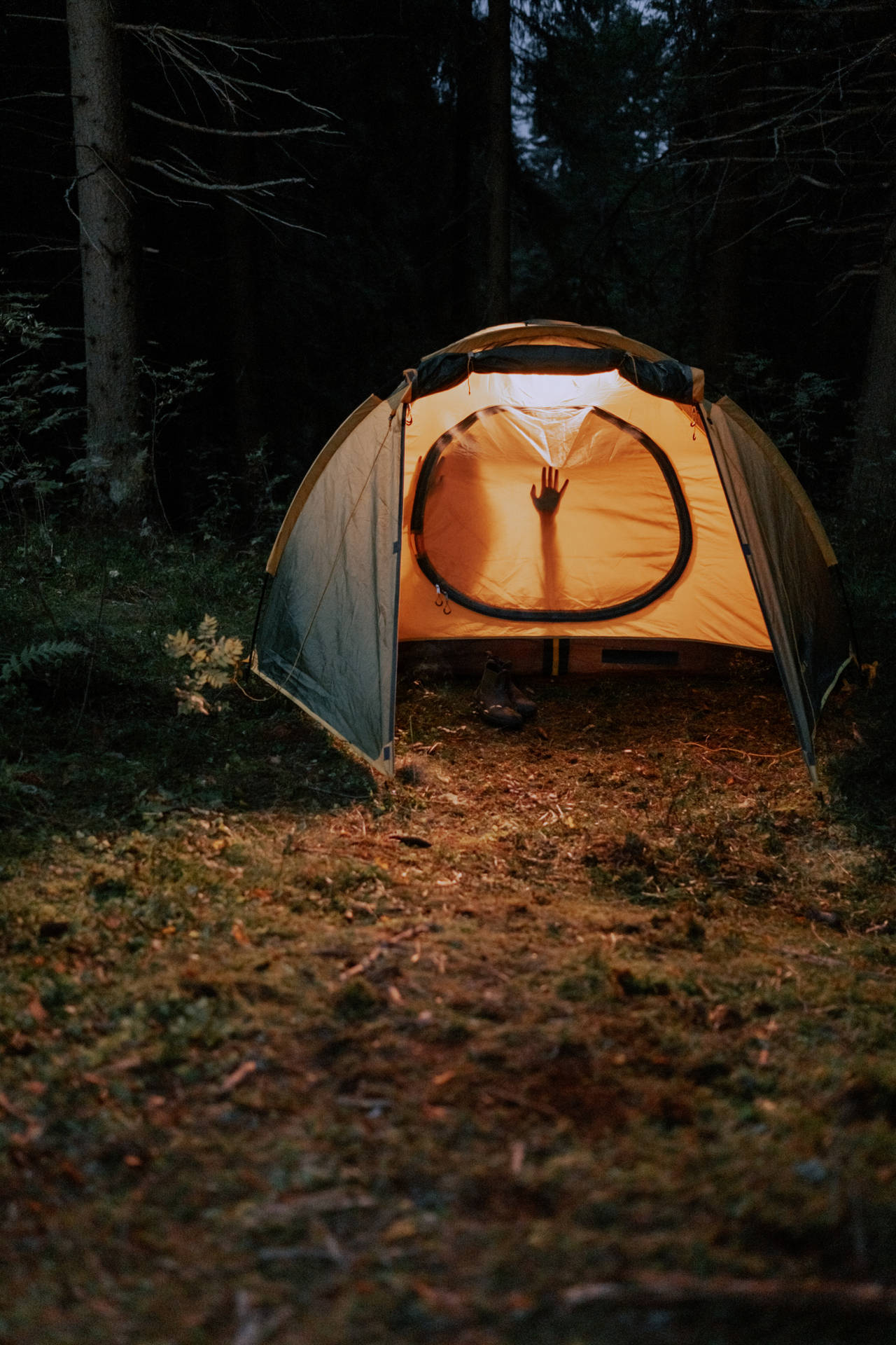 Nochede Camping Sensual. Fondo de pantalla