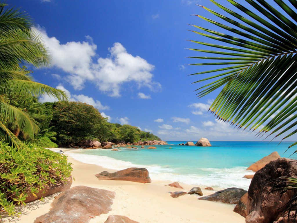 Download Seychelles Beach 1024 X 768 Wallpaper Wallpaper | Wallpapers.com