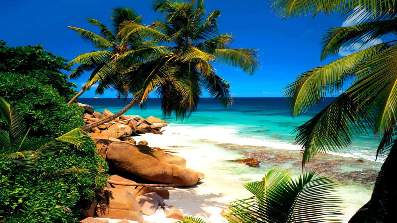 Stunning Seychelles Beach Paradise Wallpaper