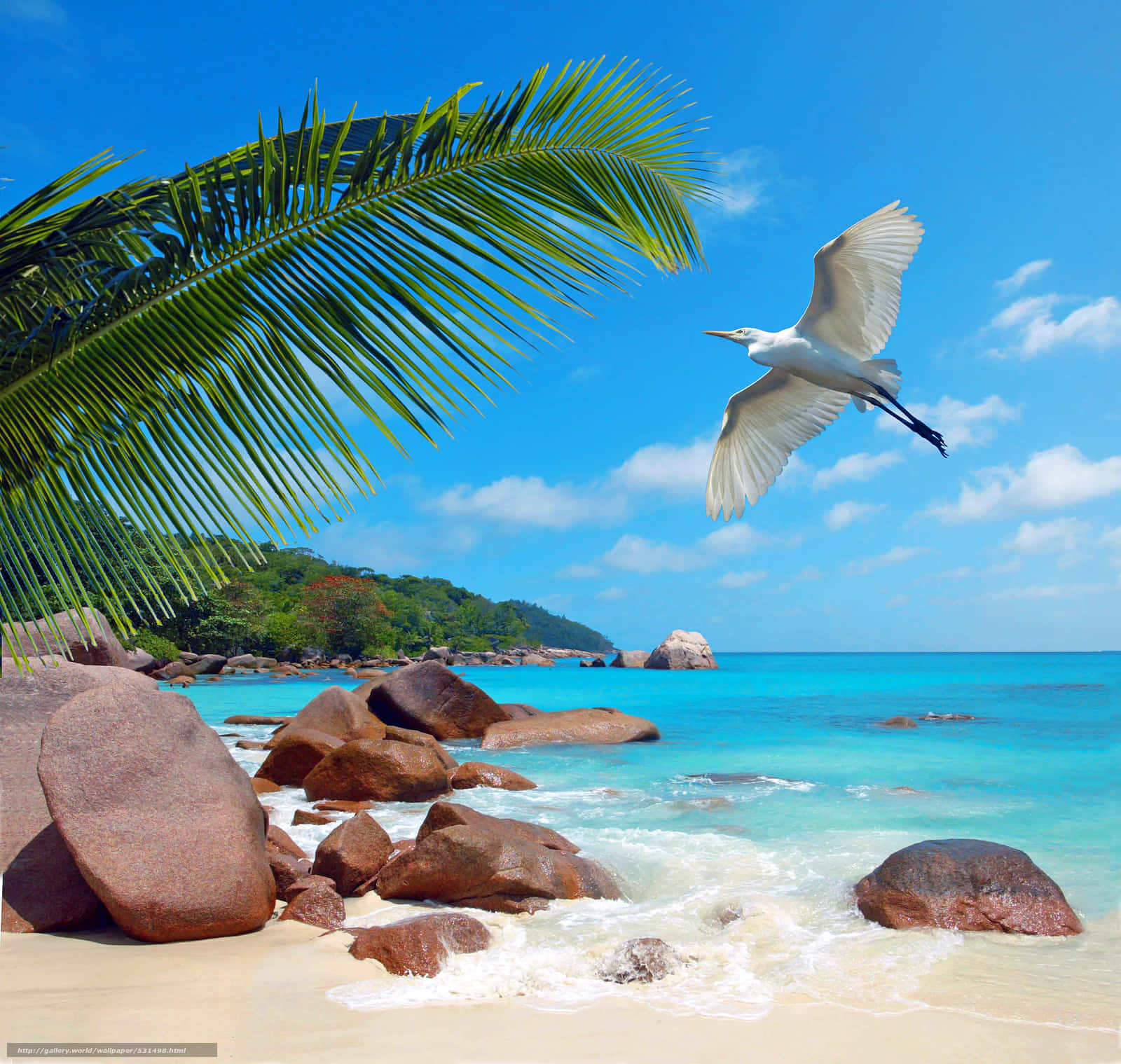 Paradise Unveiled: The Stunning Beauty of Seychelles Beach Wallpaper