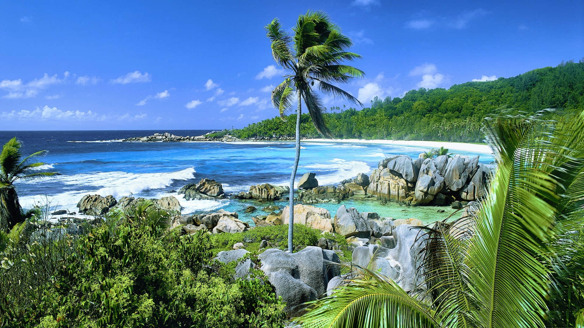 Pristine paradise at Seychelles Beach Wallpaper