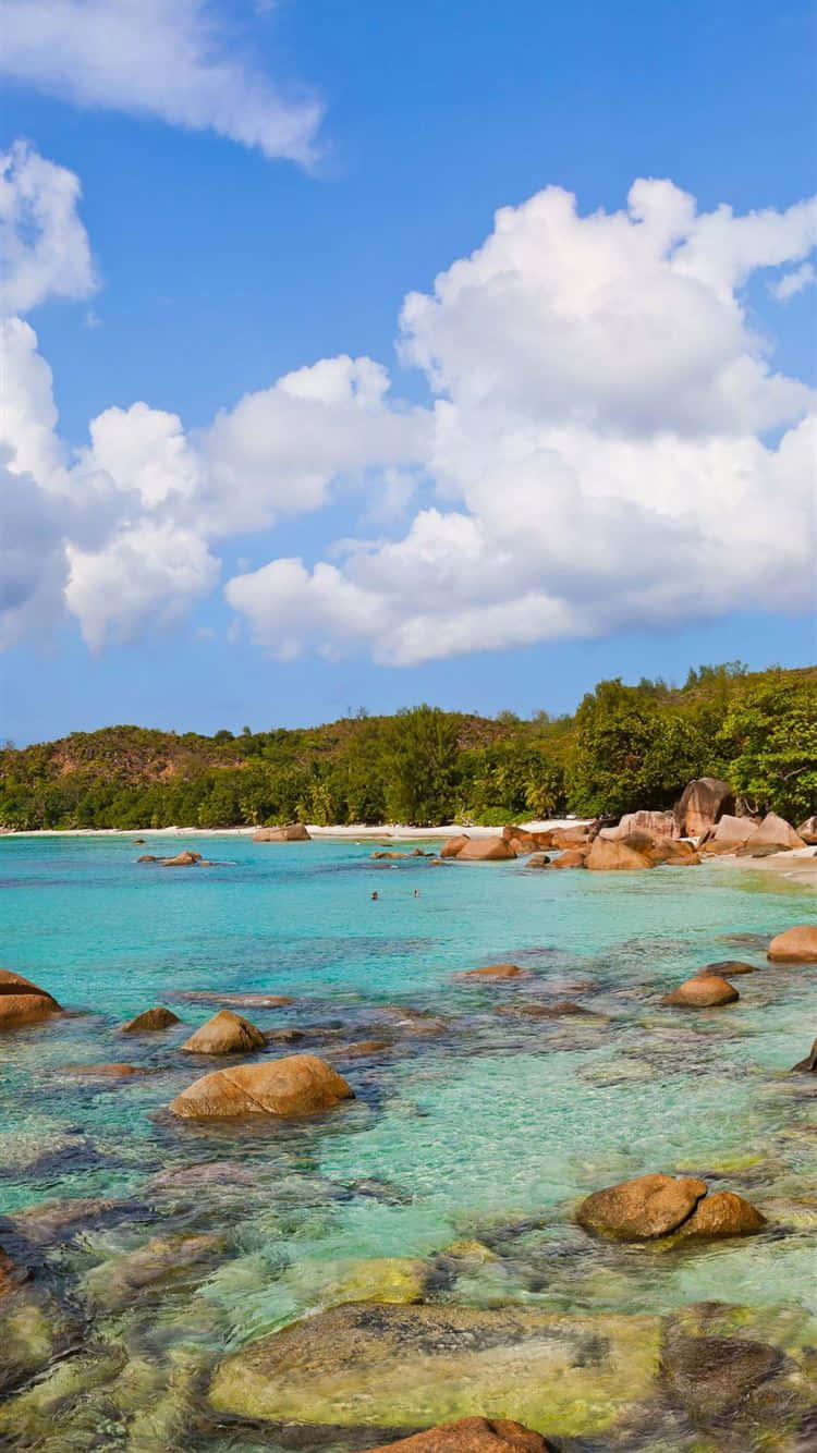 Seychelles Beach - A Tropical Paradise Wallpaper