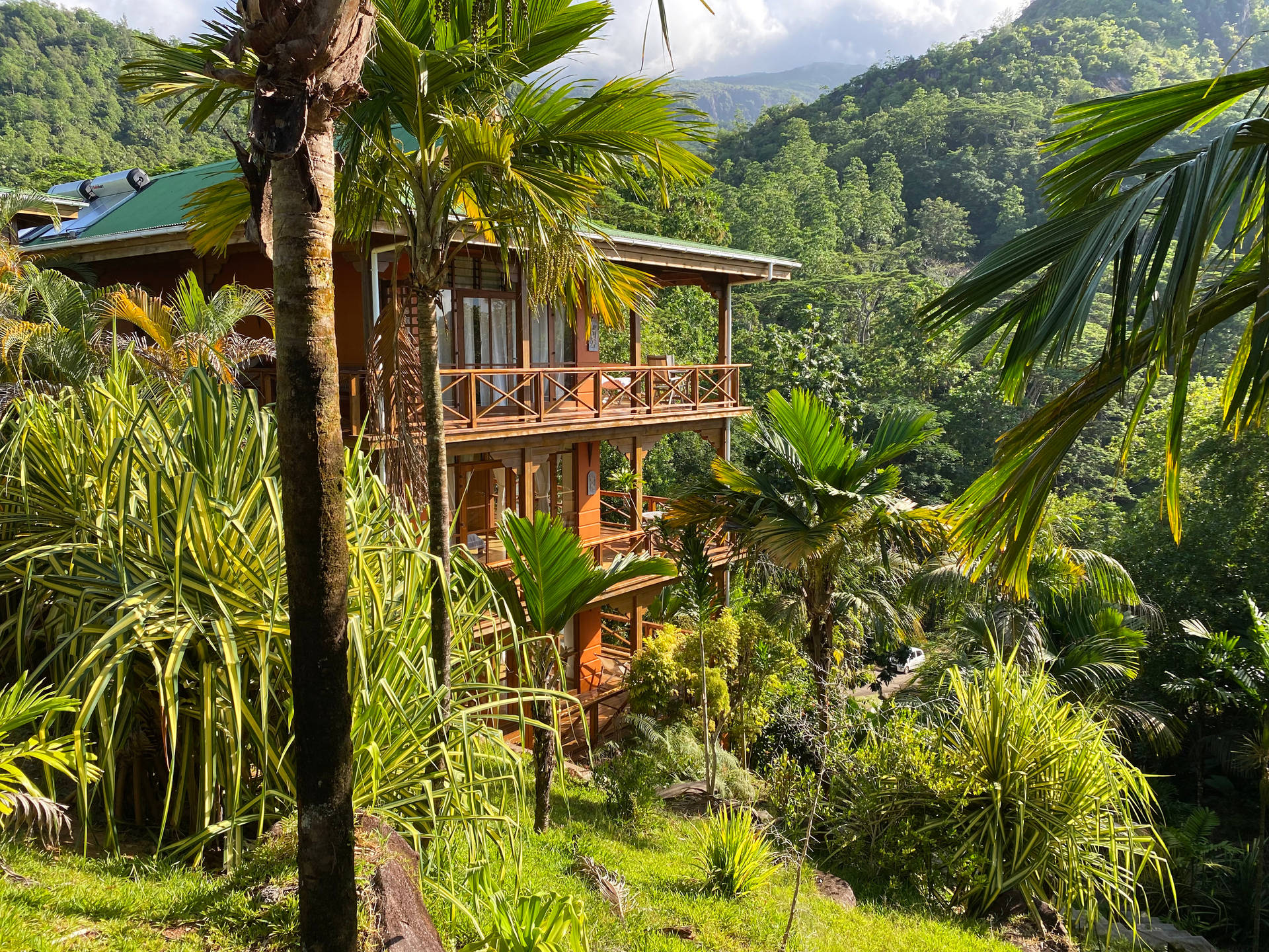 Seychelles Forest View