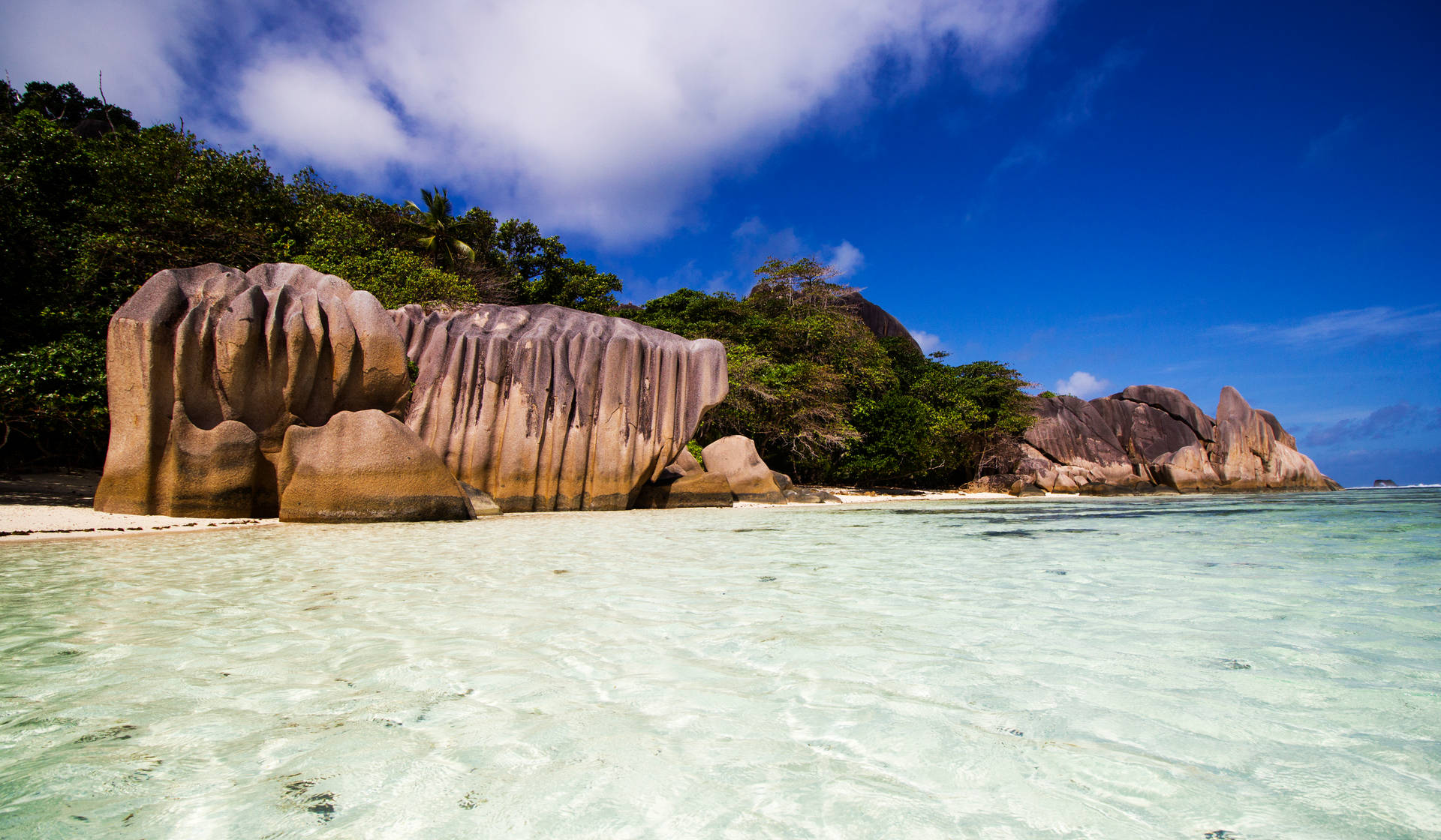 Seychelles Praslin Shoreline