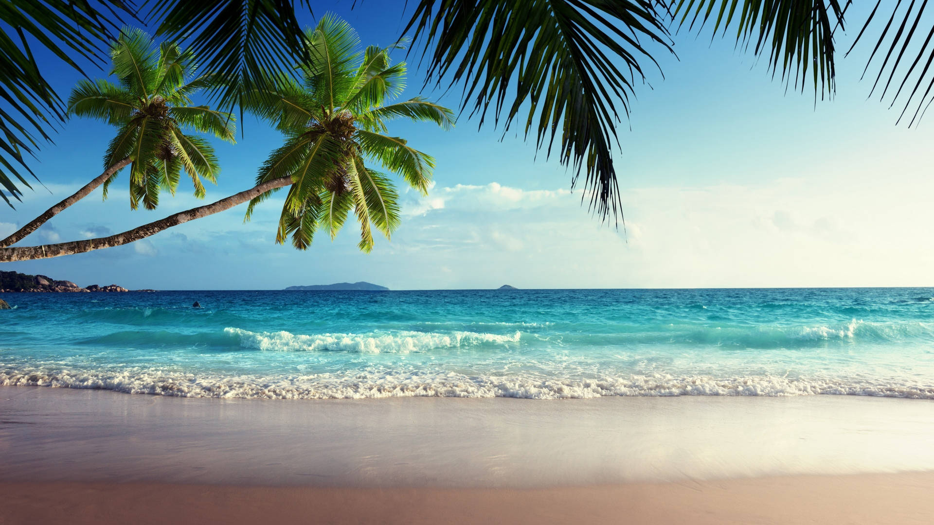 Seychelles Seaside View