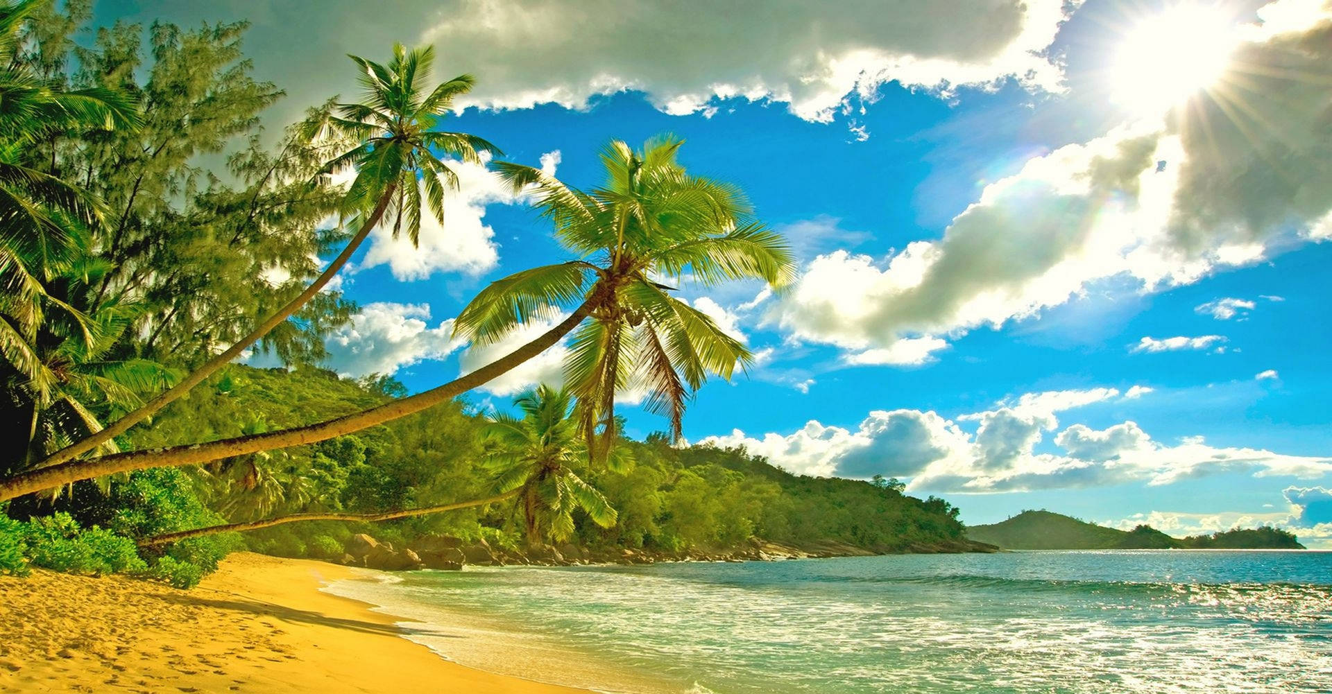Seychelles Tropical Palm Beach