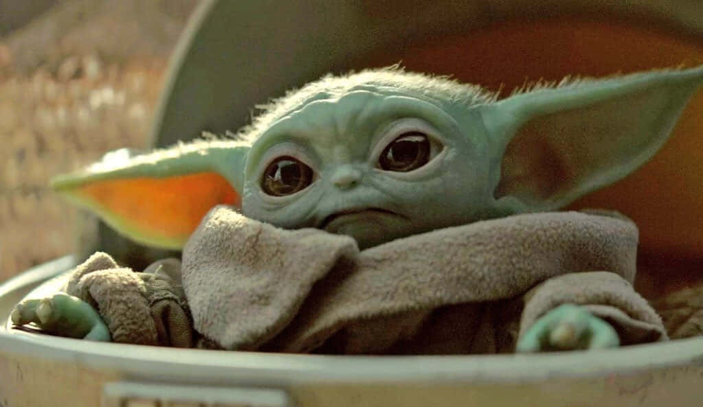 Sfondobaby Yoda Per Zoom
