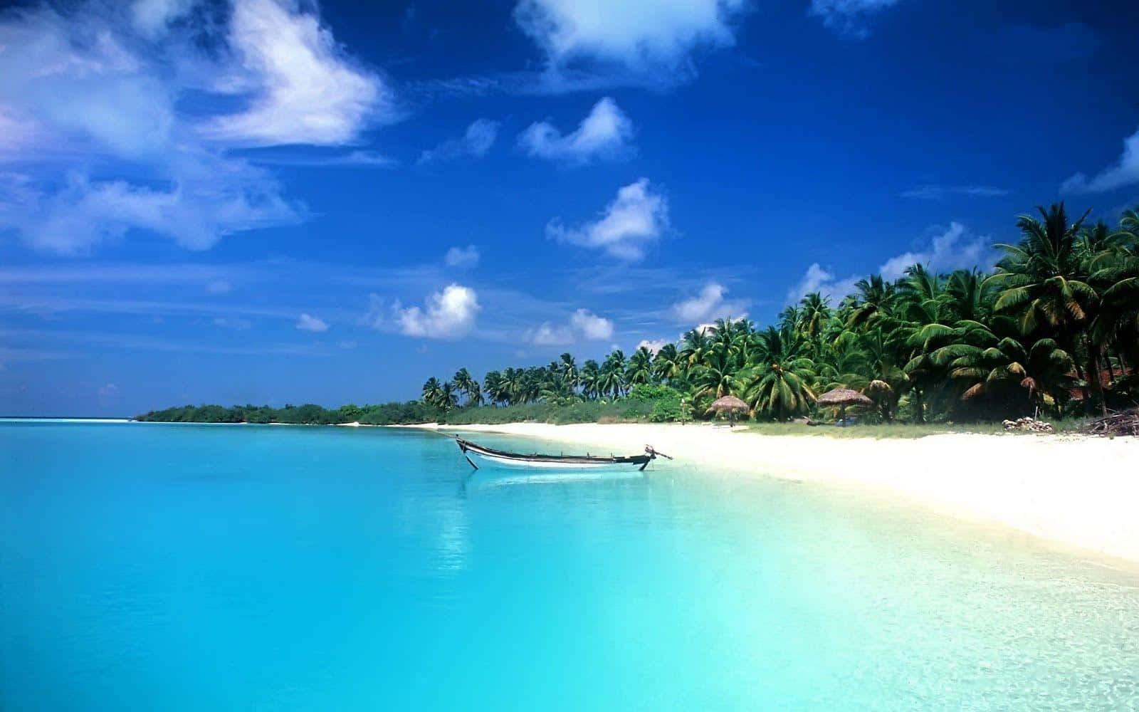 Sfondodel Desktop Di Un Paradiso Sereno Con Una Spiaggia Tropicale