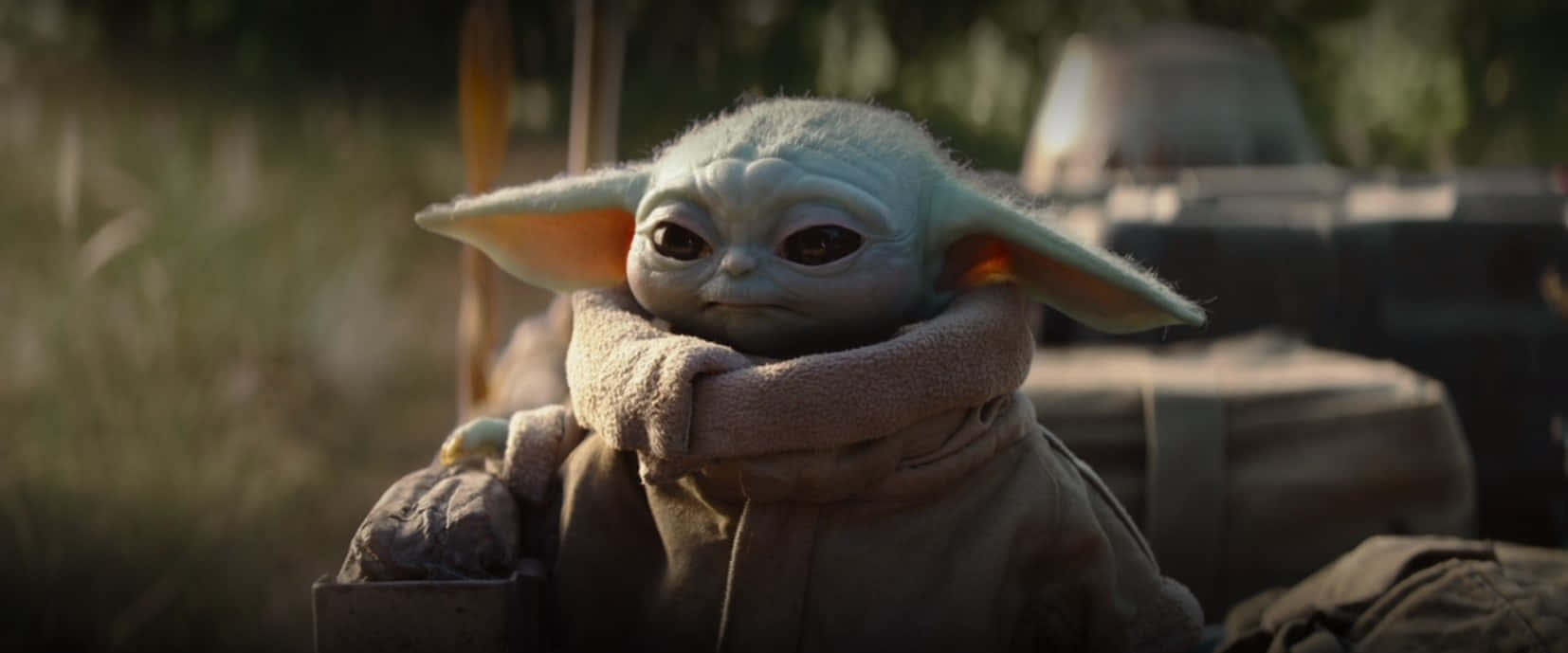 Sfondodi Baby Yoda Per Zoom