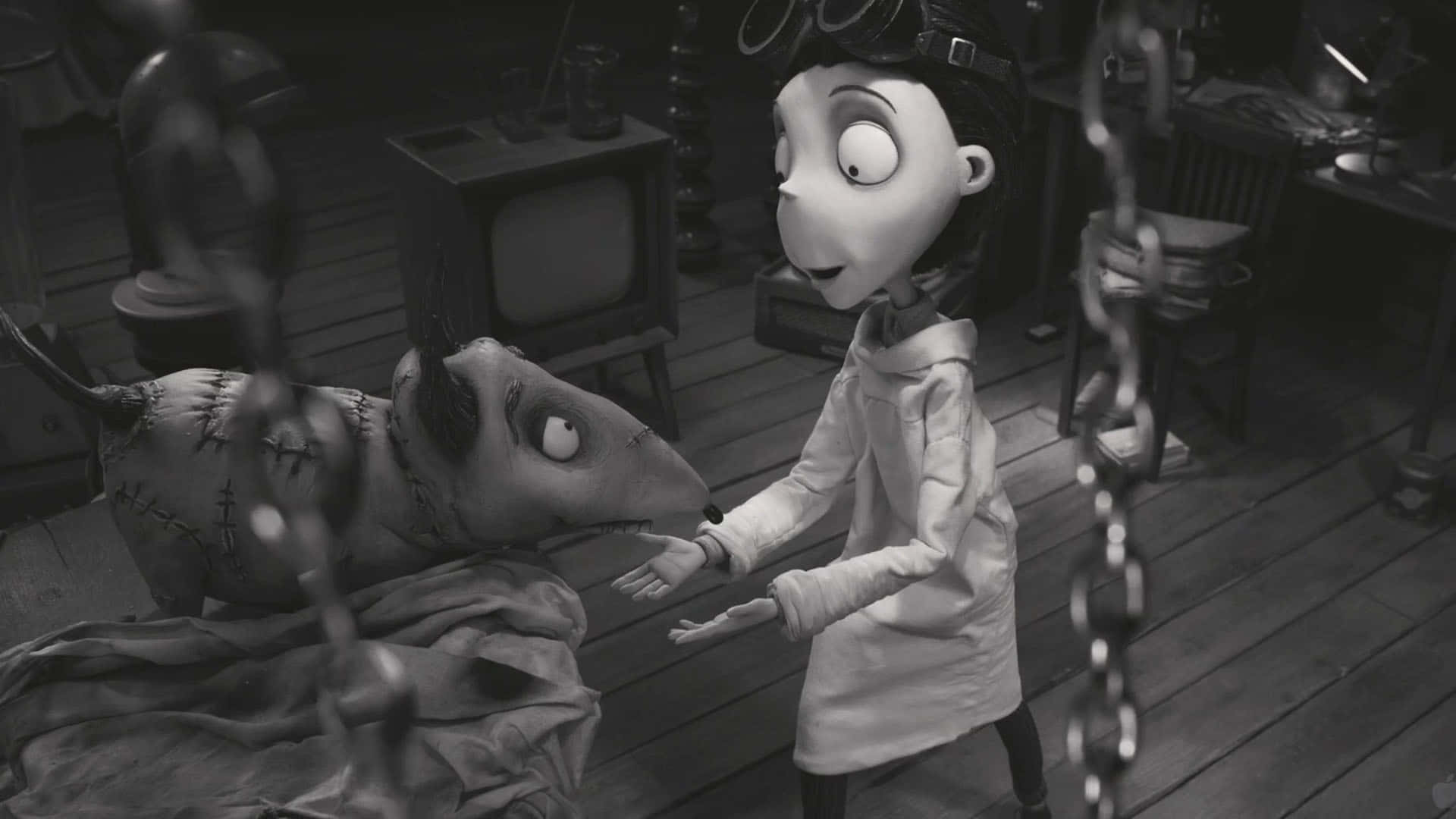 Sfondodi Frankenweenie