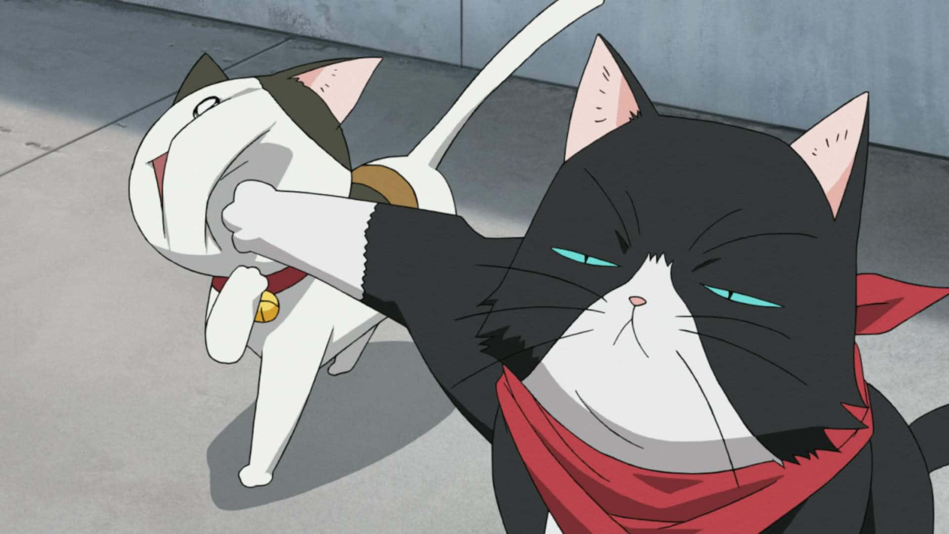 Sfondodi Gatto Anime