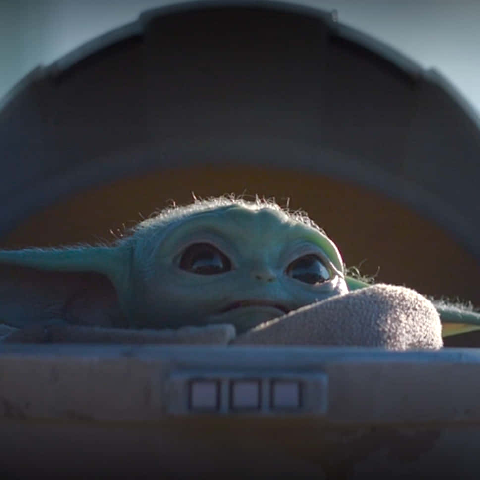 Sfondoper Zoom Di Baby Yoda