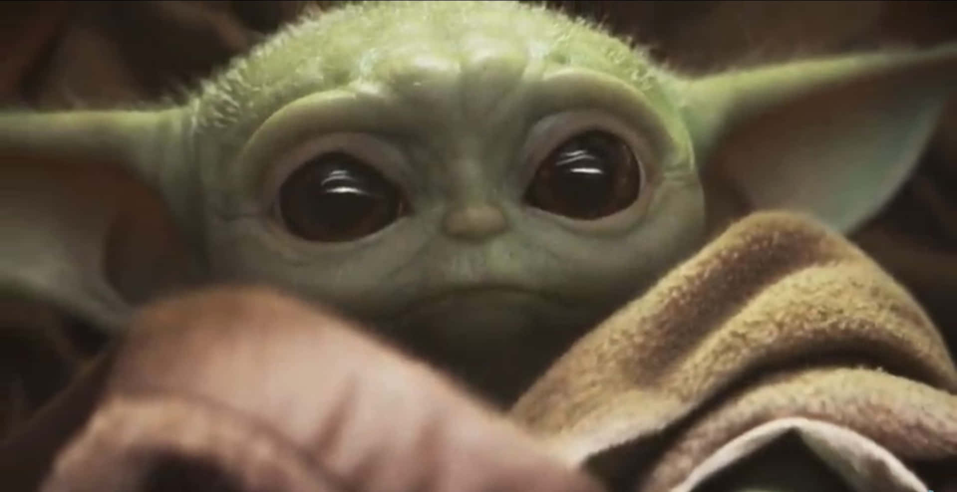 Sfondozoom Di Baby Yoda