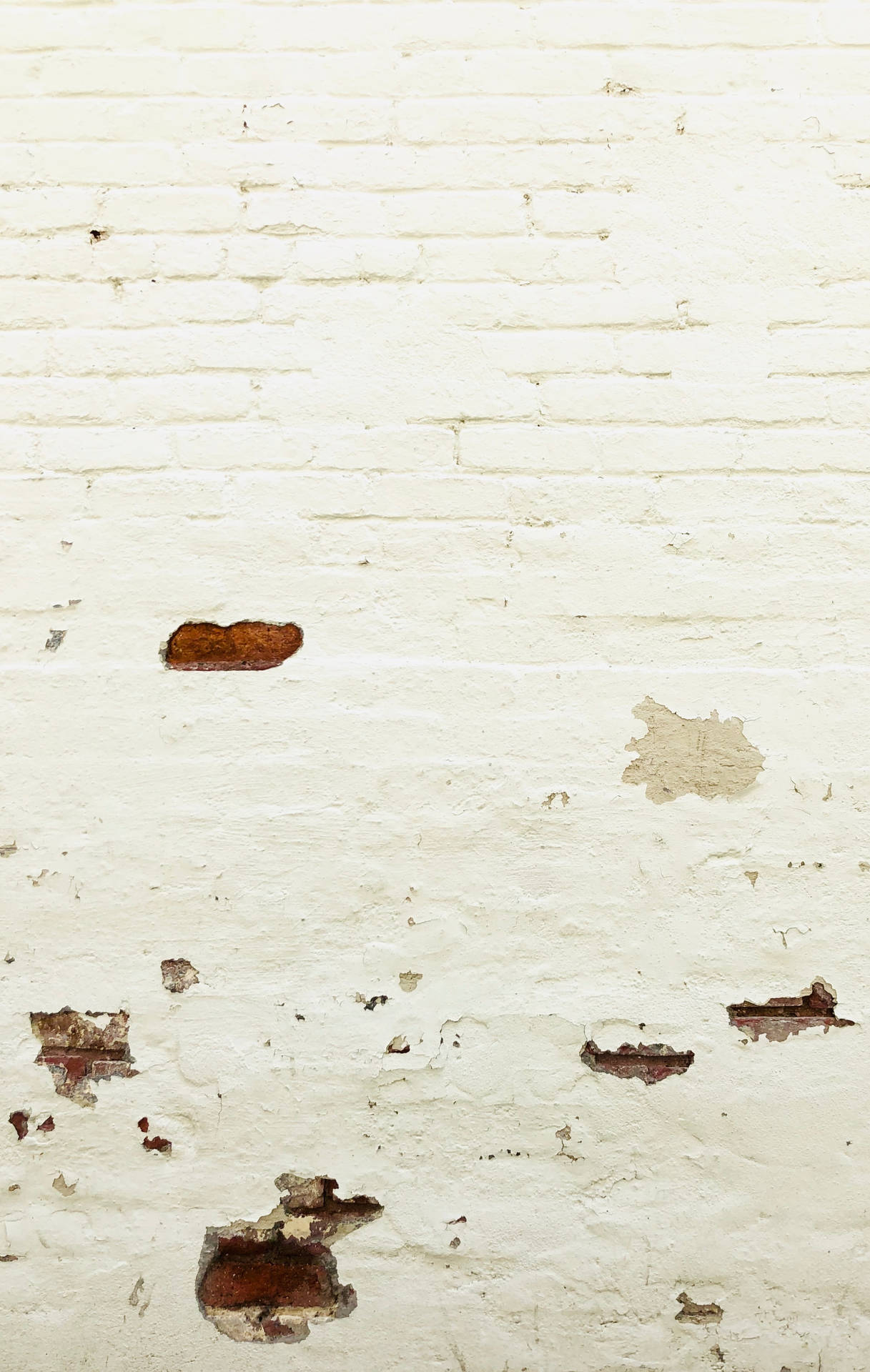 Distressed White Brick Wall Wallpaper