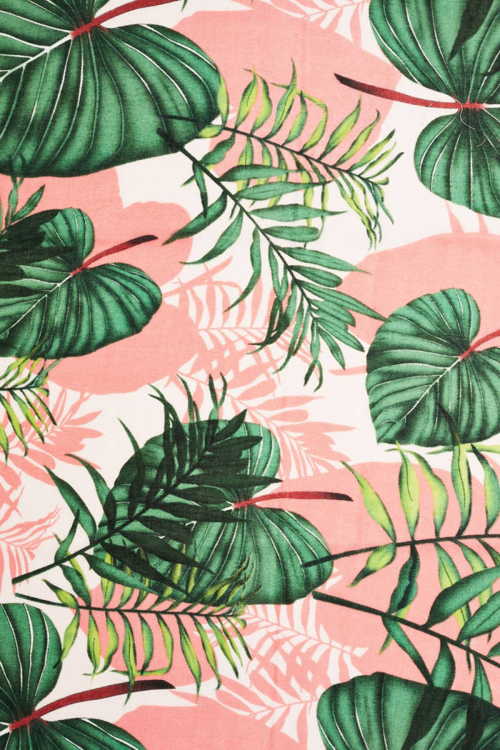 Shaded Pink Backdrop With Leaves Aesthetic