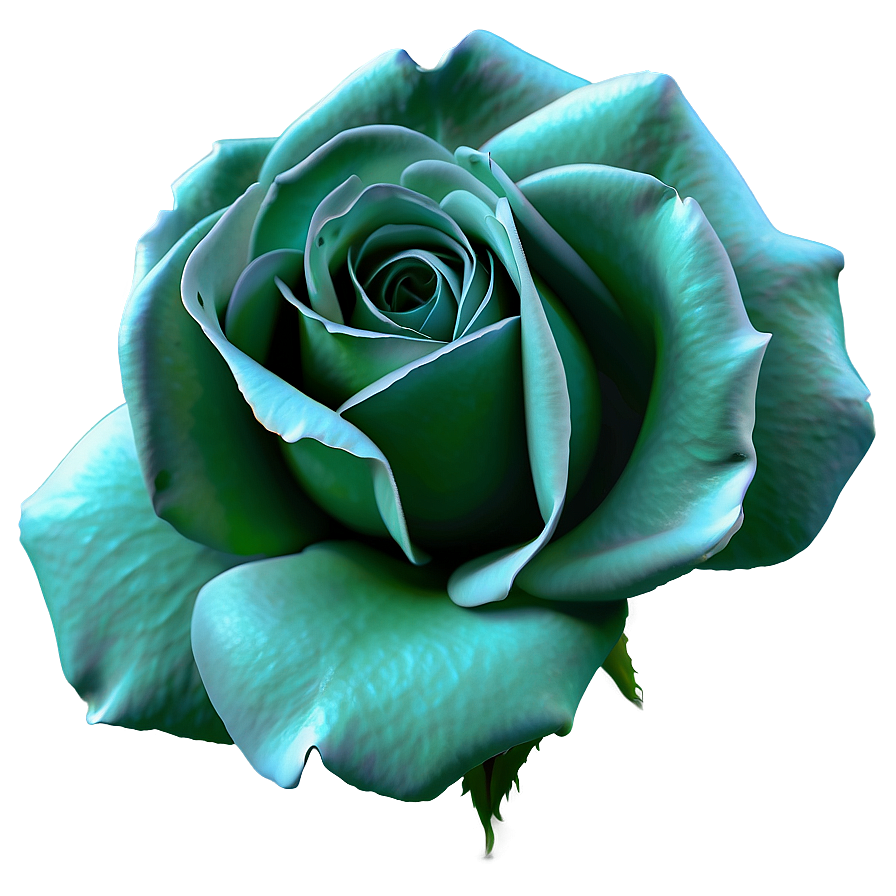 Shaded Rose Png Cdy86 PNG