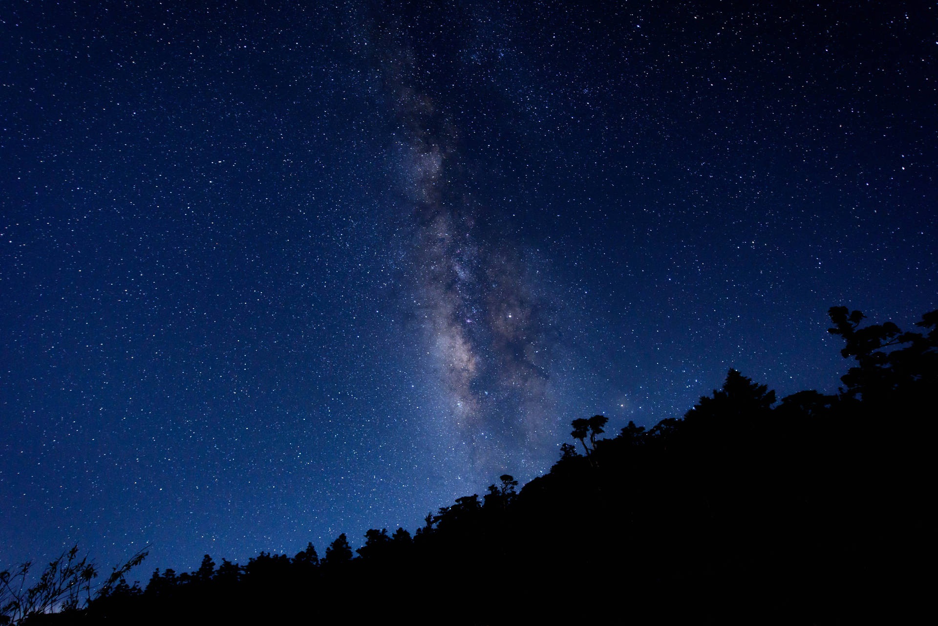 Shadow Covered Forrest Over Milky Way Wallpaper