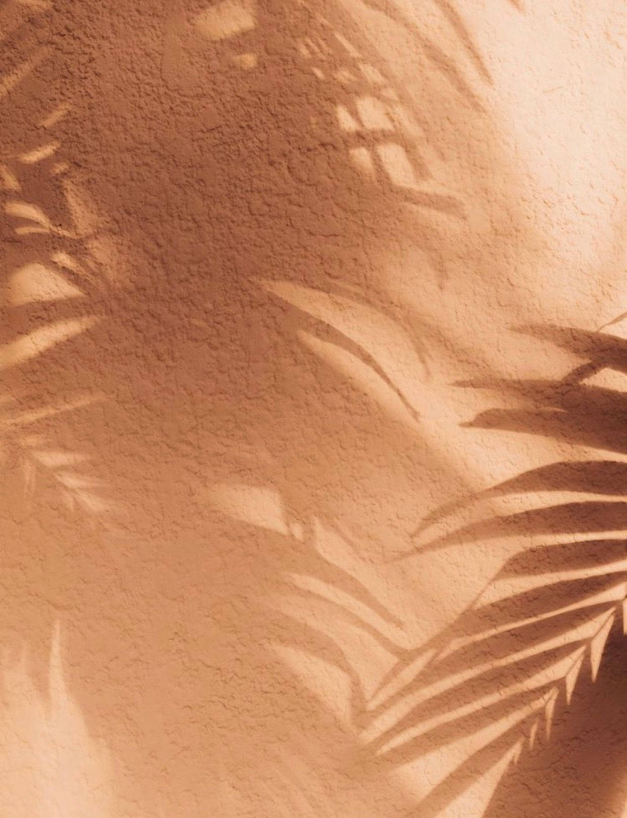 Shadow Leaves On Tan Aesthetic Wallpaper