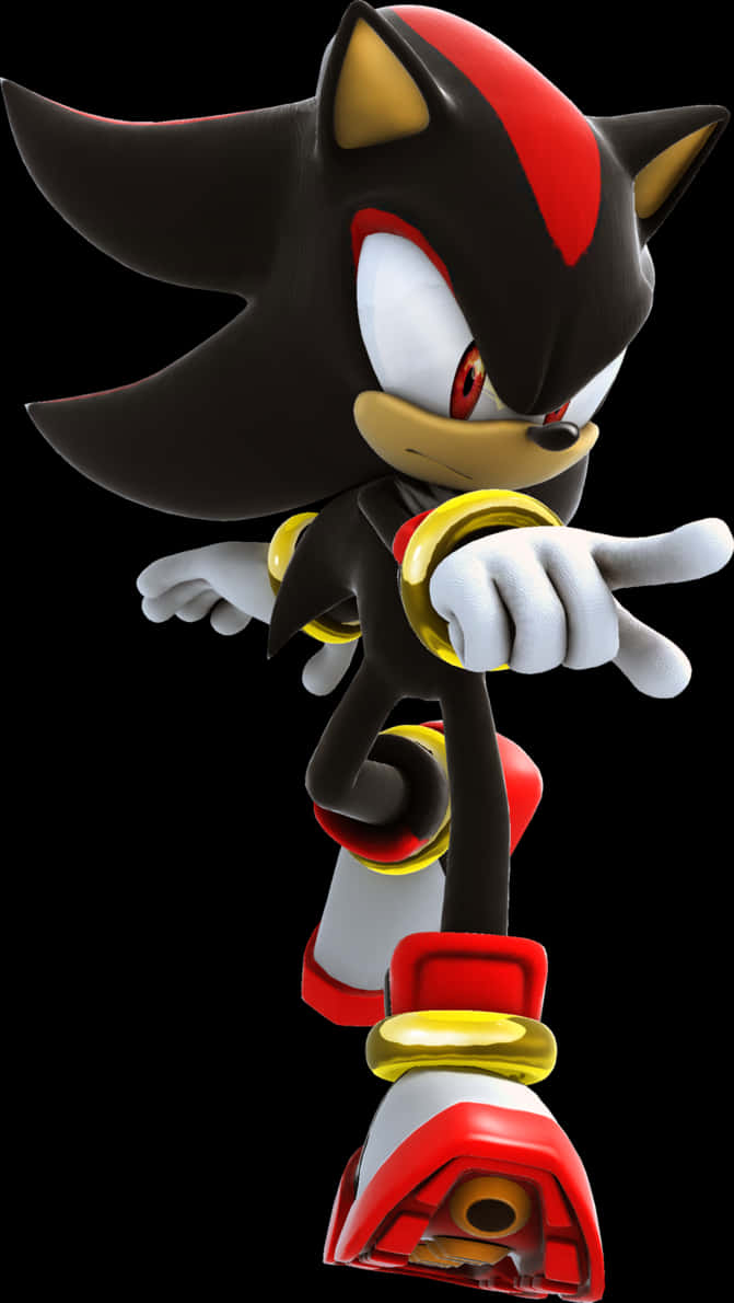 Shadow The Hedgehog Pose PNG