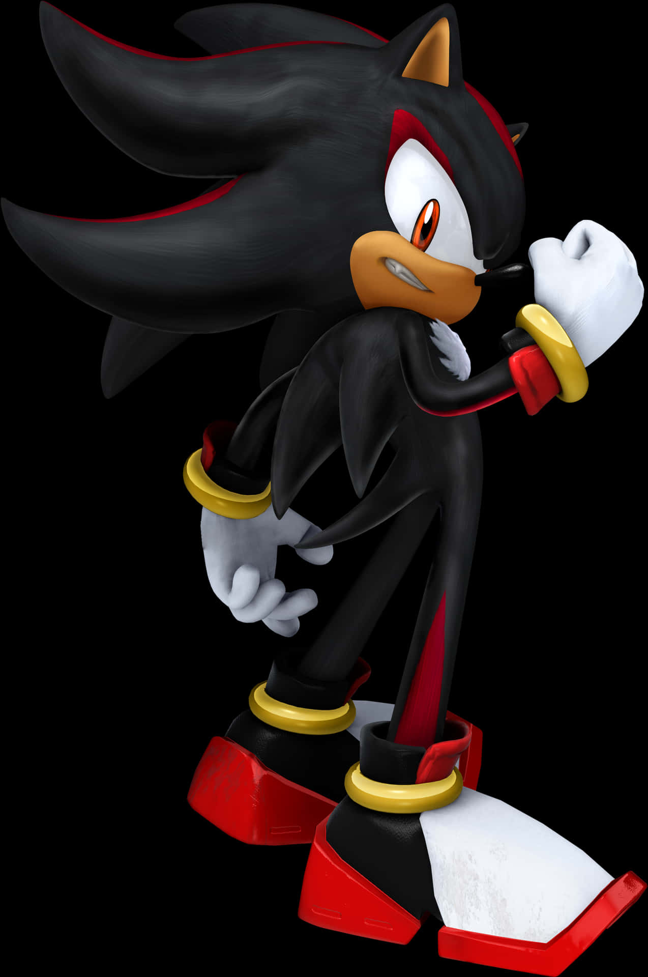 Shadow The Hedgehog Pose PNG