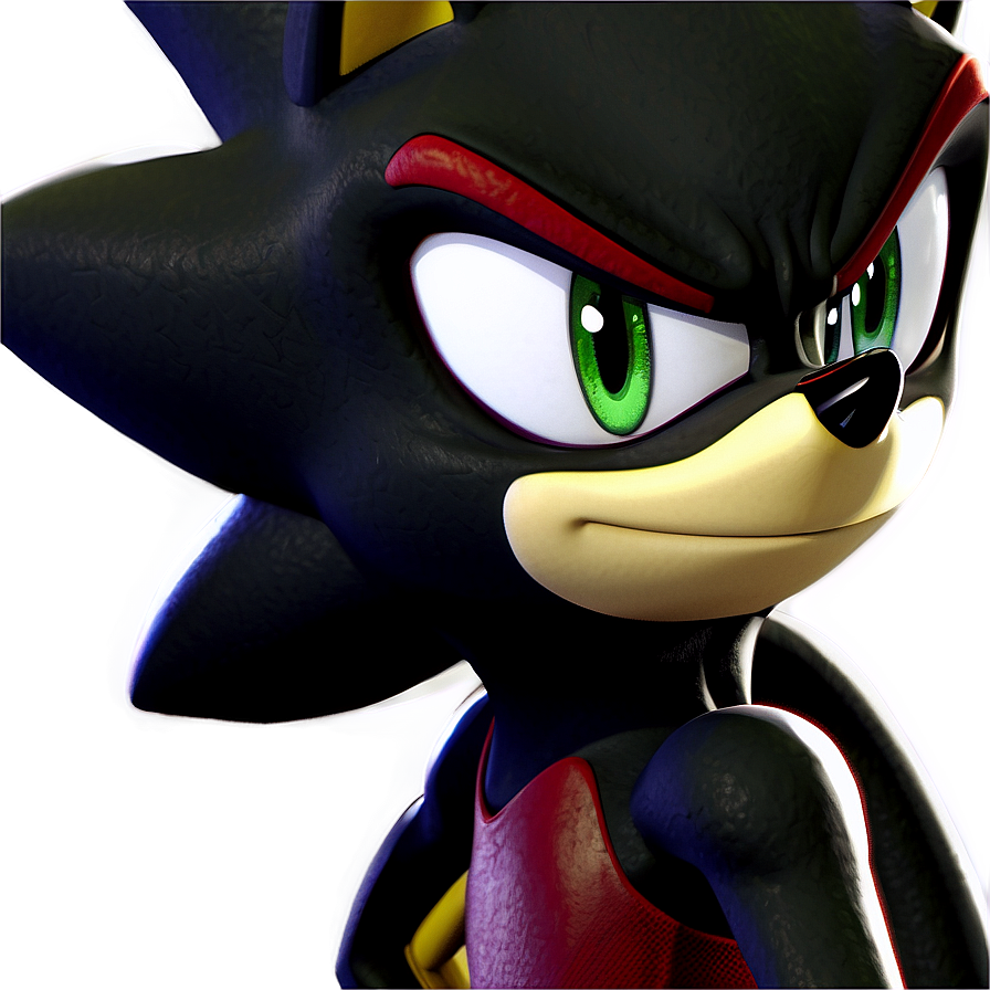 Shadow The Hedgehog Profile Png Nlh PNG