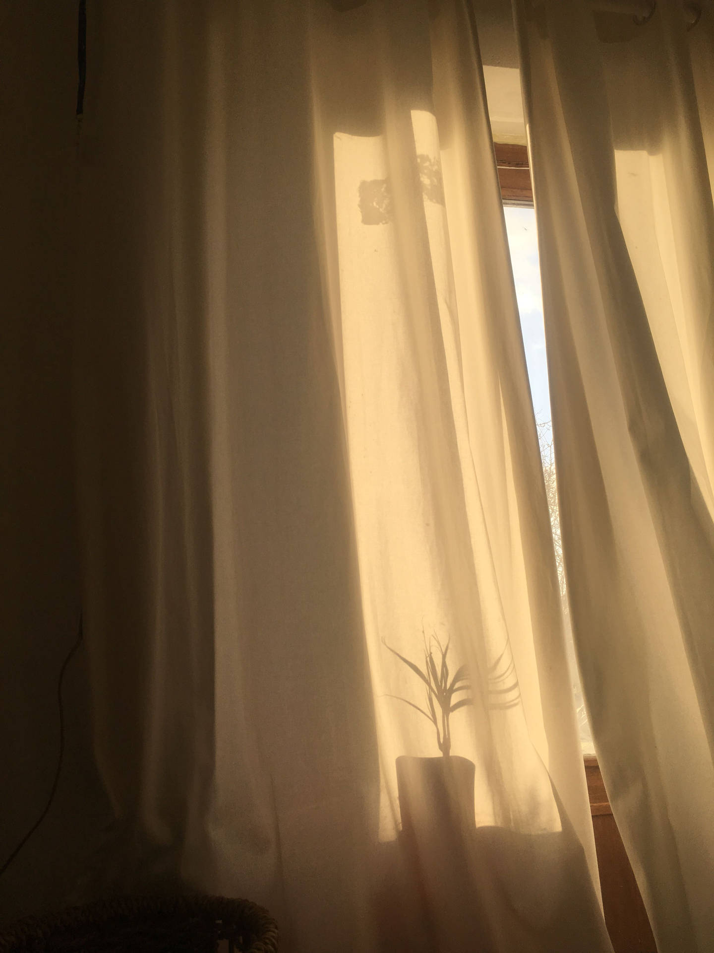 Shadows And Curtains In Tan Aesthetic Wallpaper