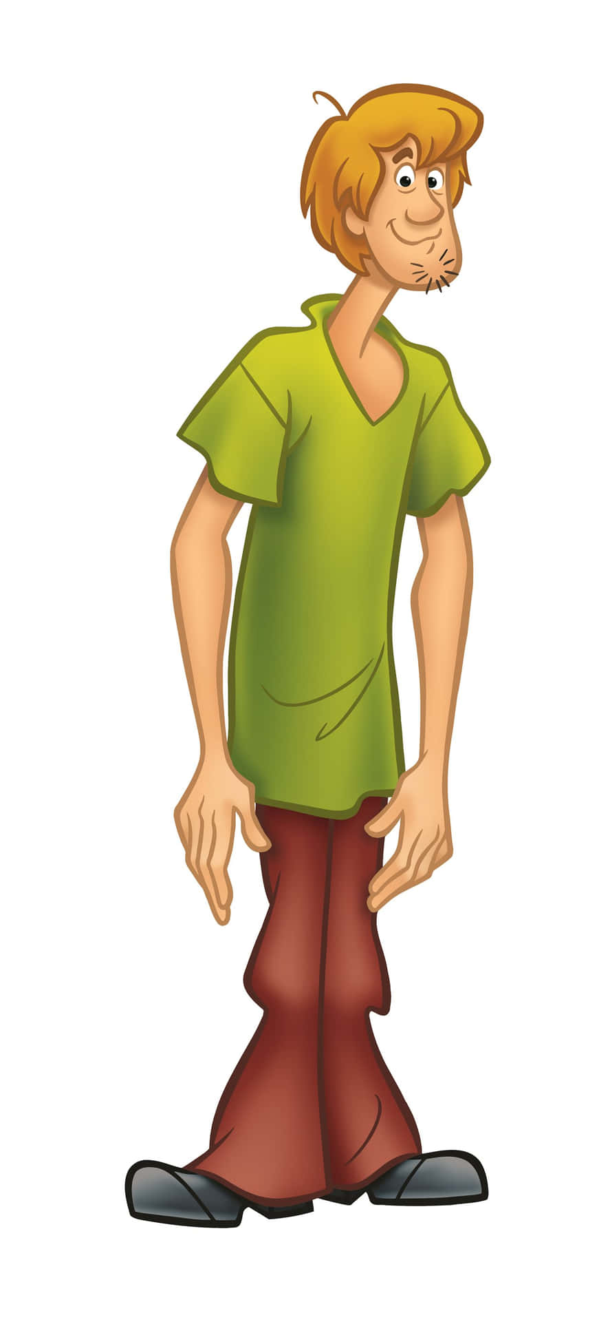 Einecartoon-figur Mit Einem Grünen Shirt Und Einer Grünen Hose. Wallpaper