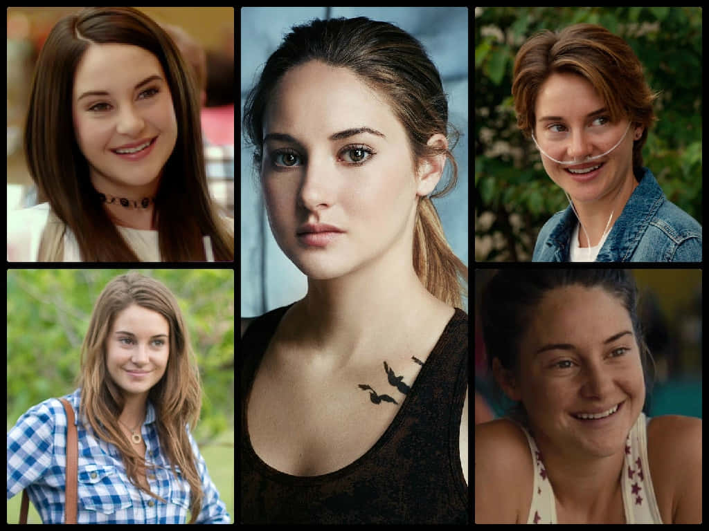 Shailene Woodley Diverse Rollen Collage Achtergrond