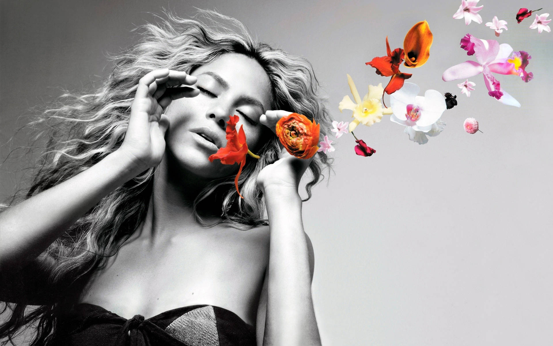 Shakirafärgglada Blommor Wallpaper
